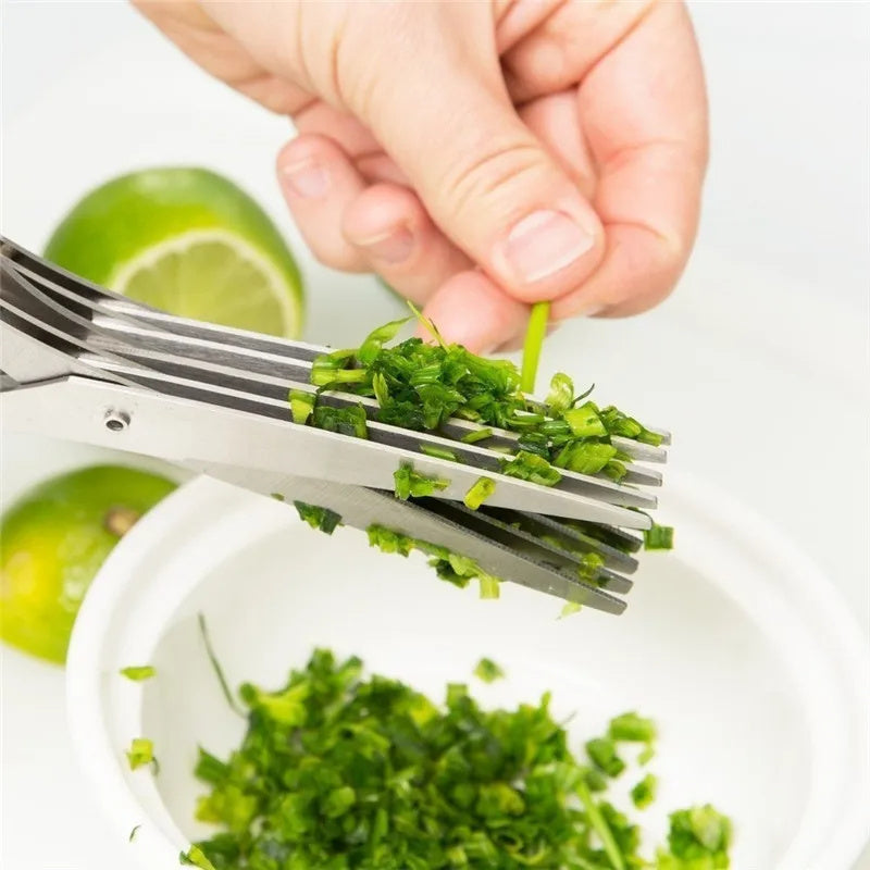 Multifunctional Stainless Steel Herb Scissors – Multi-Layer for Onions, Seaweed & Spices